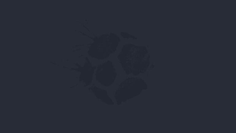 Erling Haaland equals record after securing PFA Player of the Year award